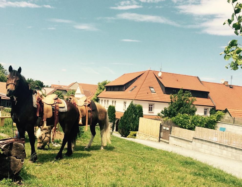 Penzion V Polich Malé Číčovice Buitenkant foto