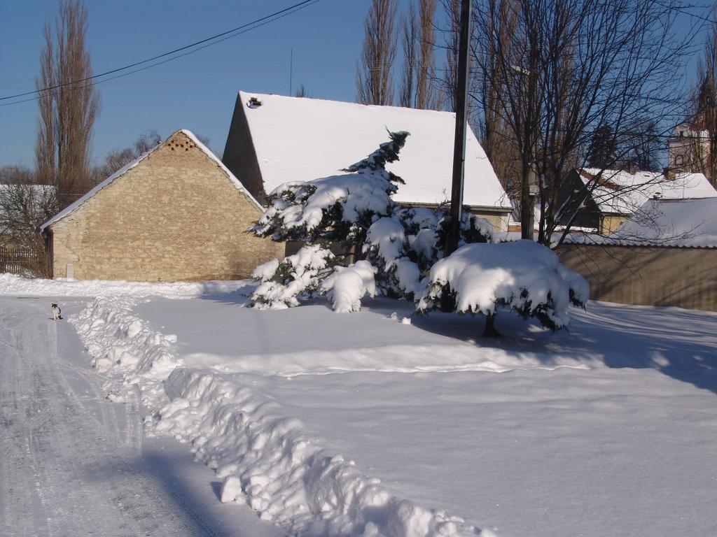 Penzion V Polich Malé Číčovice Buitenkant foto