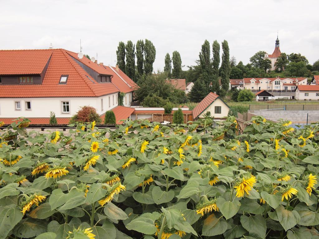 Penzion V Polich Malé Číčovice Buitenkant foto